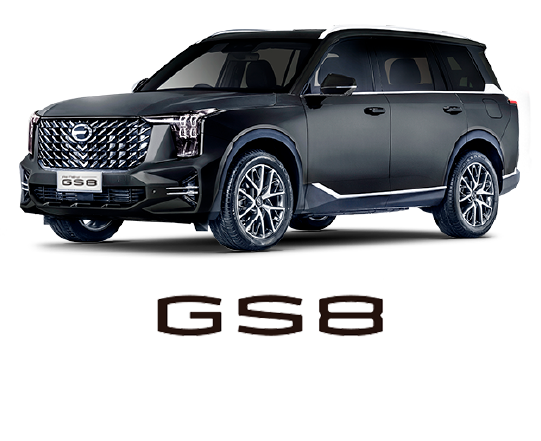 GS8